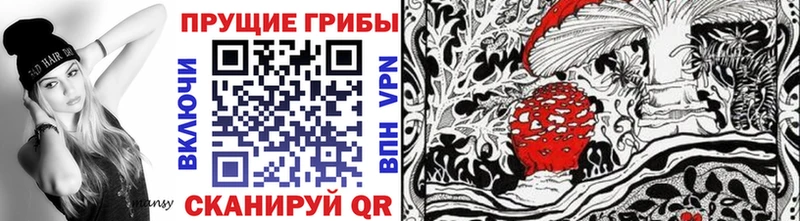 Псилоцибиновые грибы мухоморы Павловск